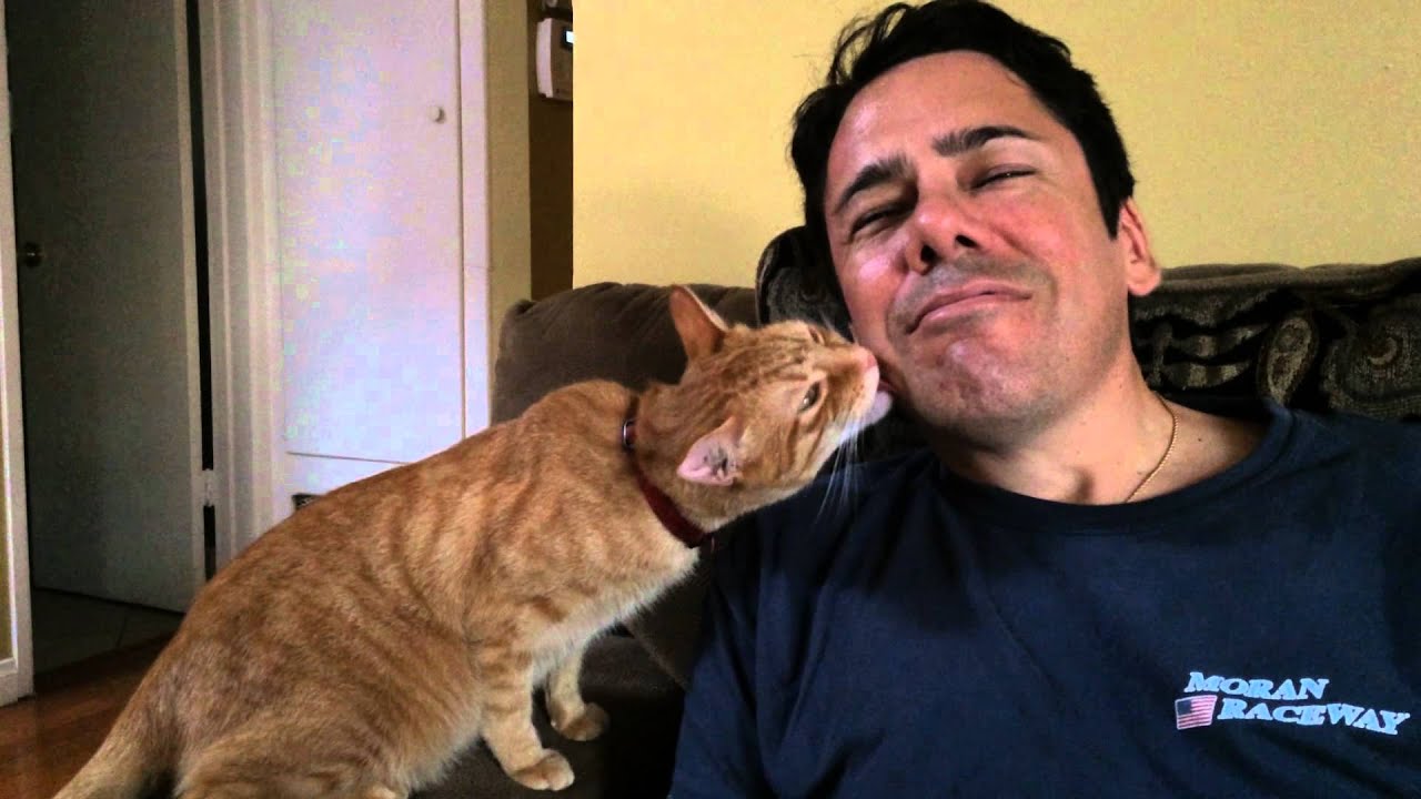 Buster the cat Bath part 2 YouTube