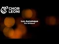 Lux Aurumque by Eric Whitacre sung by Chor Leoni