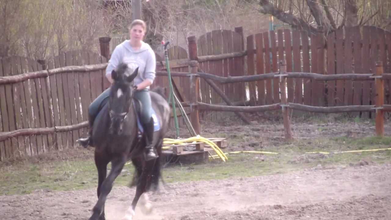 Burucs Borbála: El-Escorial-C