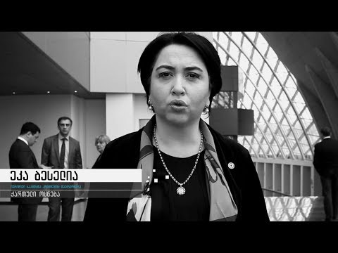 ეკა ბესელია ნარკოპოლიტიკაზე