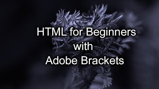 Adobe Brackets & HTML for Beginners: Pt. 3 - Links