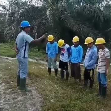 vidio lucu petani sawit