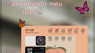 Arrumando Meu Ipad