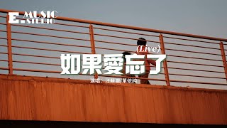 汪蘇瀧/單依純 - 如果愛忘了『如果愛忘了 淚不想落下，那些幸福啊 讓她替我到達。』【動態歌詞MV】