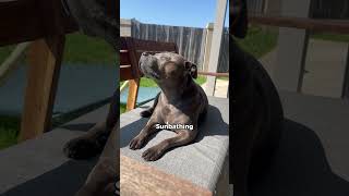 And Yes, Youre Expected To Provide All Of Them