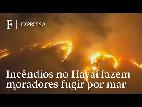 Incêndio no Havaí é o mais mortal dos EUA do século - SBT News