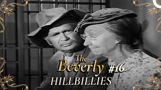 The Beverly Hillbillies  Special Part 16 | Classic Hollywood TV Series