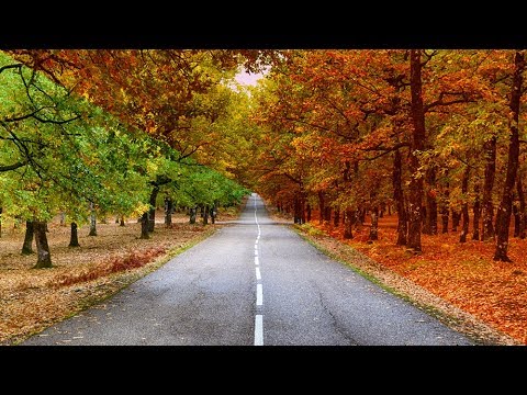 როგორ ვაქცევ ზაფხულს შემოდგომად (თბილი ეფექტი ყველა ფოტოსთვის)