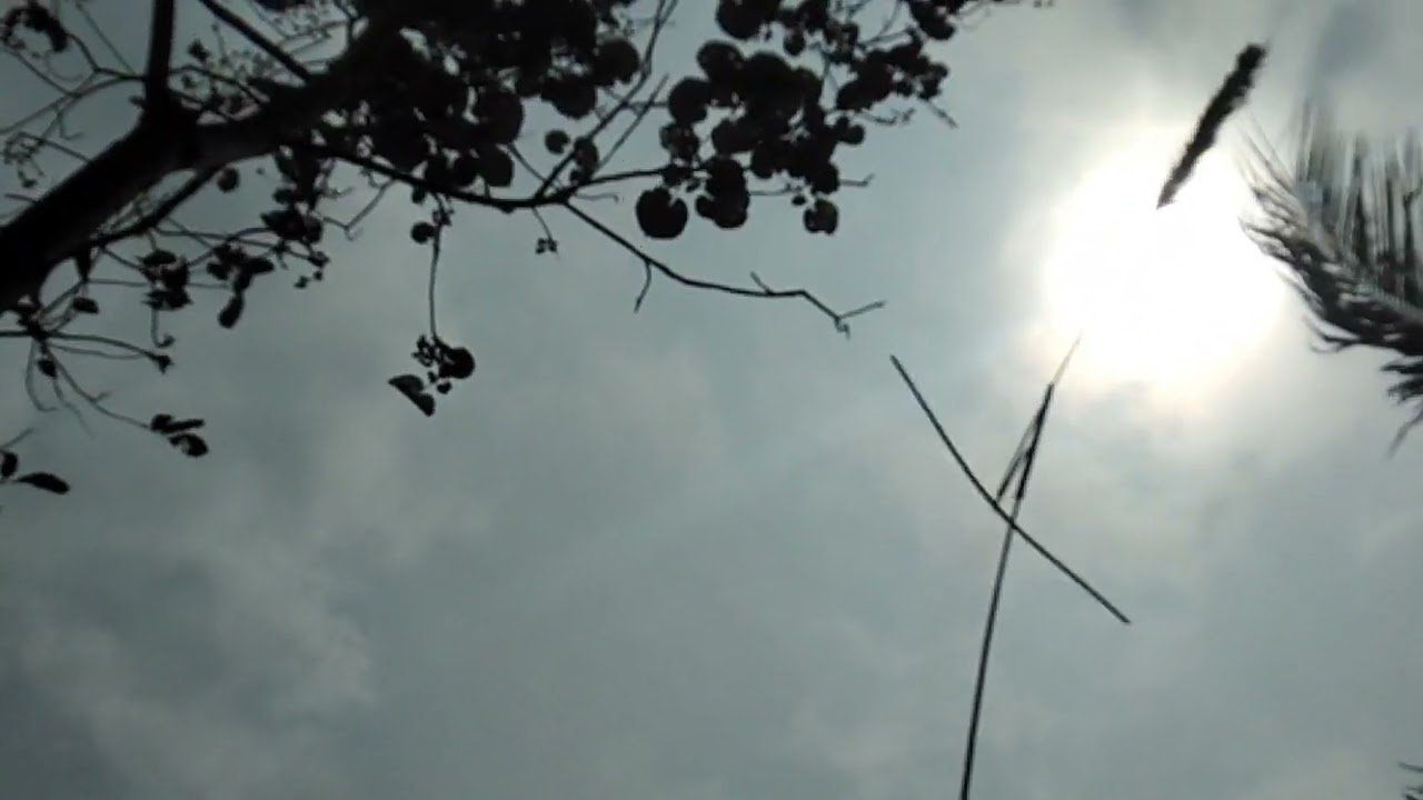 kolecer,nyugu kolecer belakang,supaya lentur na/lelesna,rata,