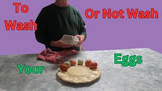 The Benefits To Not Washing Your Eggs