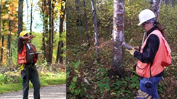 Forest Inventory and Analysis and You