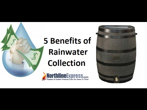 5 Benefits of Harvesting Rainwater For Everyday Uses