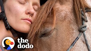 Woman Slowly Becomes Best Friends With An Anxious Wild Horse | The Dodo Faith = Restored