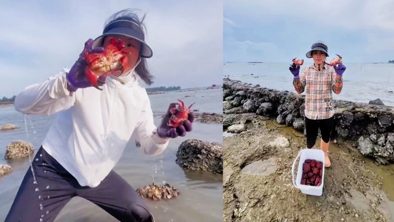 Fishing Crab catching video 