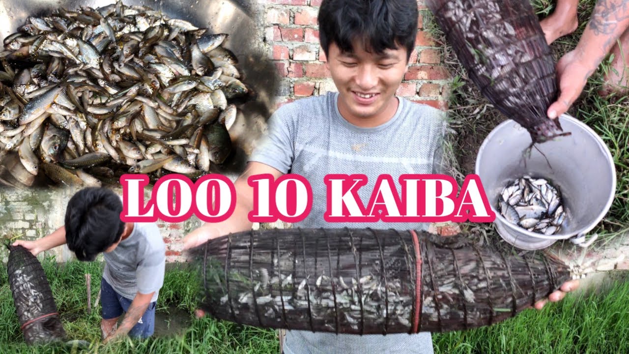 VILLAGE LIFE IN MANIPUR || LOO 10 KAIBA || #fishing