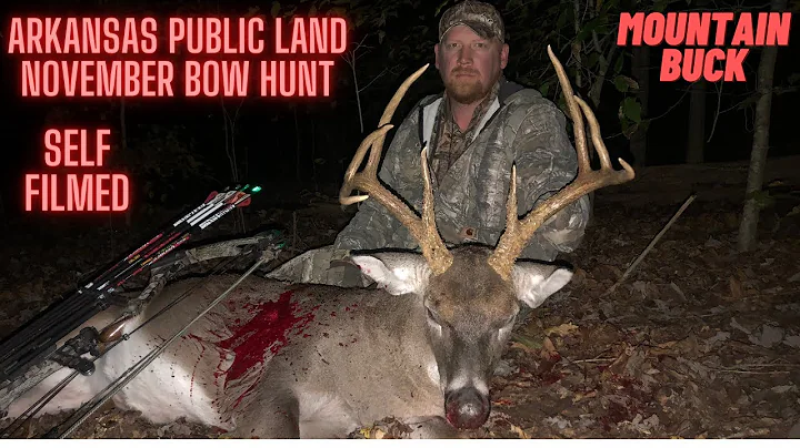 Hunting Public Land Arkansas 6 1/2 year old Mounta...