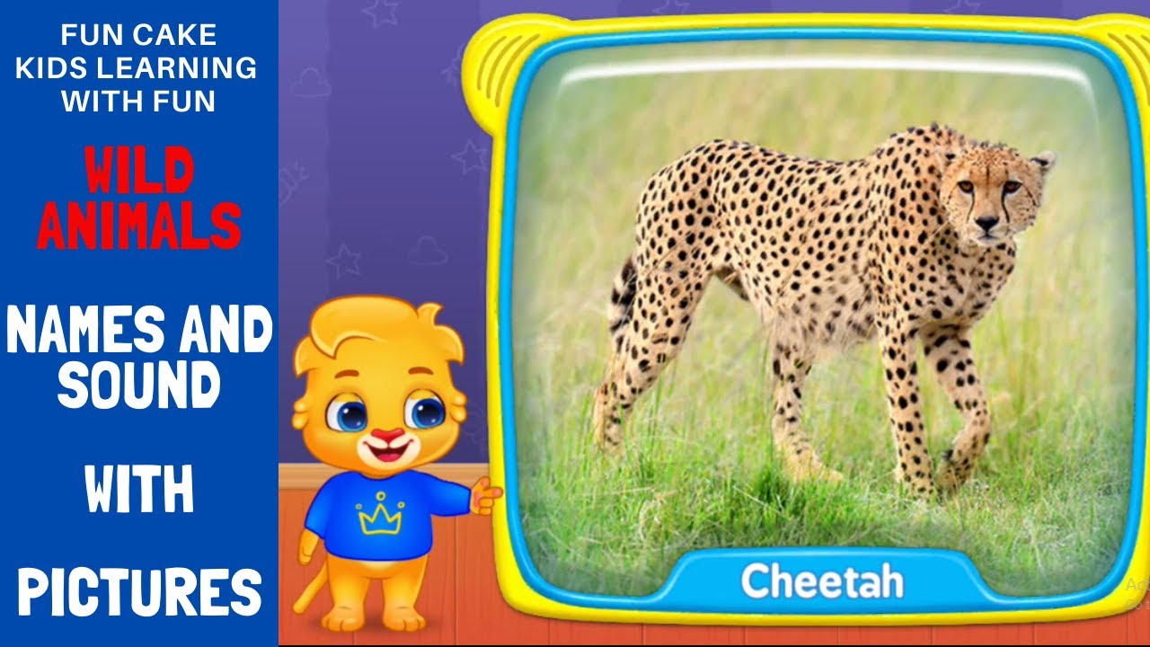 Wild Animals | Wild Animals Names & Sound for Kids | Wild Animals Name