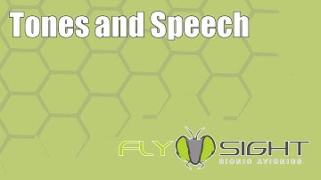 Tones and Speech