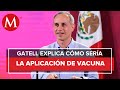¿Cuándo aplicarán la vacuna contra covid-19 en México?