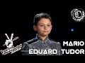 Mario Eduard Tudor - De-ai fi tu salcie la mal (Vocea Romaniei Junior 22/06/18)