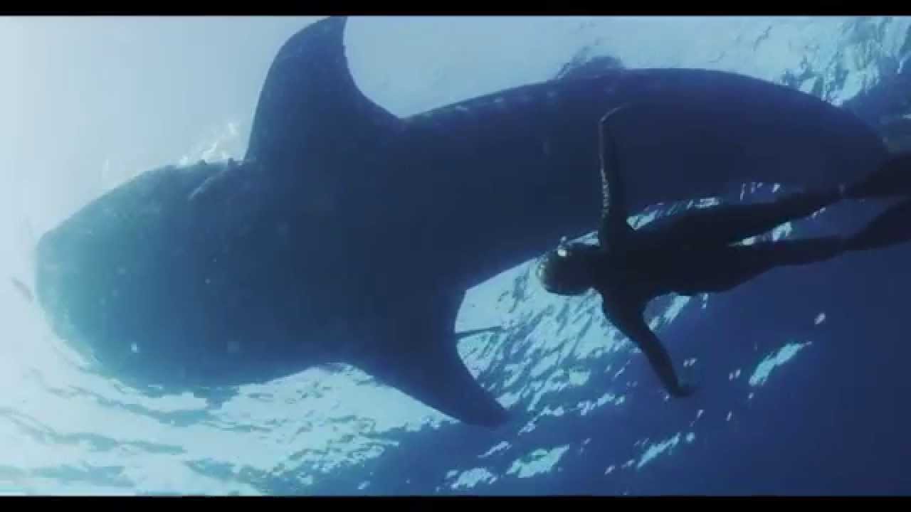 Subgear - Submerse Yourself