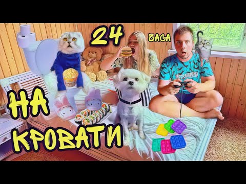 24 ЧАСА НА КРОВАТИ С КОТАМИ И СОБАКОЙ! БИЛЛИ И КЕВИН В ШОКЕ!