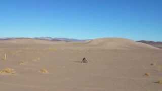Admo Tours - Playing In The Dunes - Northern Mojave Desert December 2013
