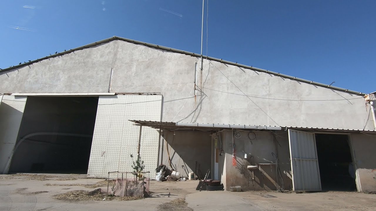 Emirali köyü sokaklarında b1r gün, Emirali 39750 Emirali/Lüleburgaz/Kırklareli GH011354