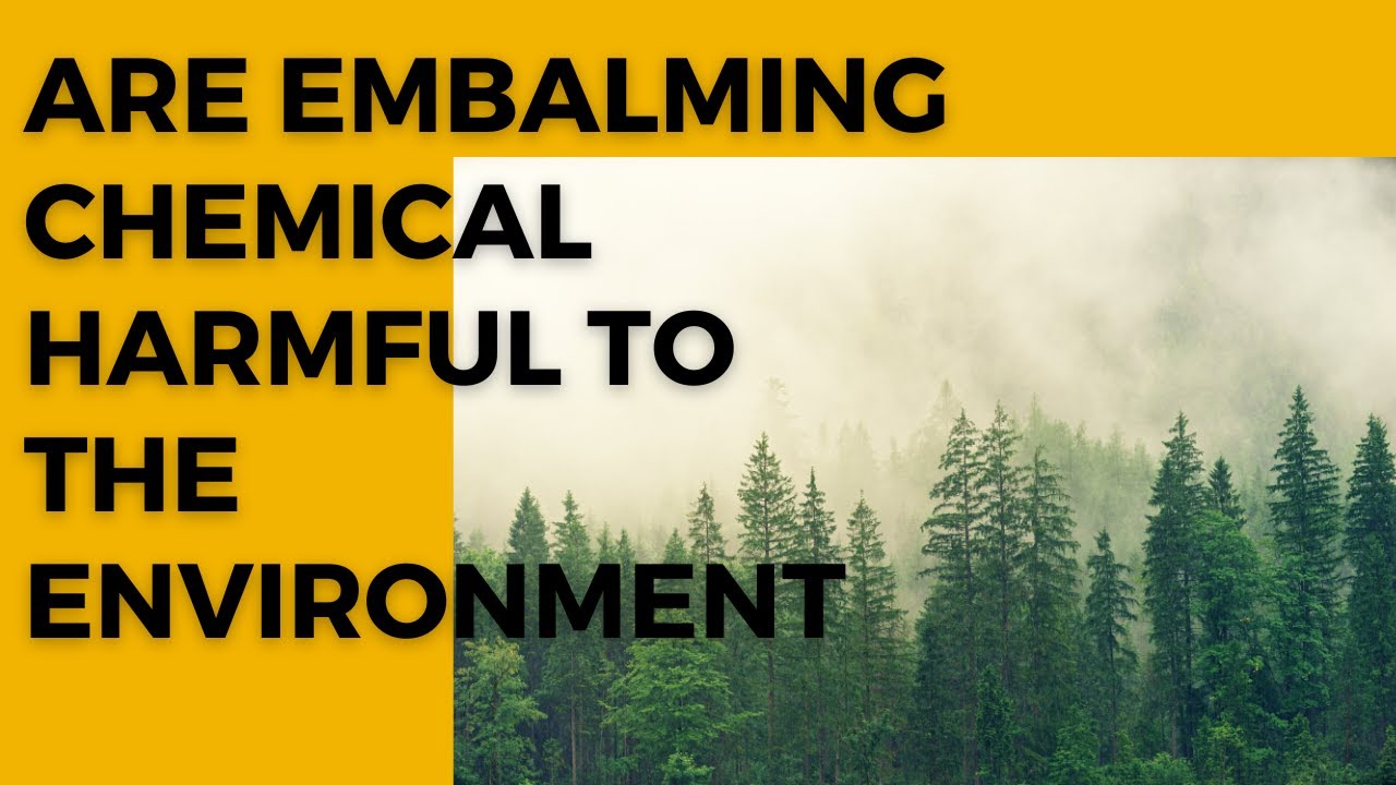 Embalming Chemicals Used in Funerals: An Environmental Controversy