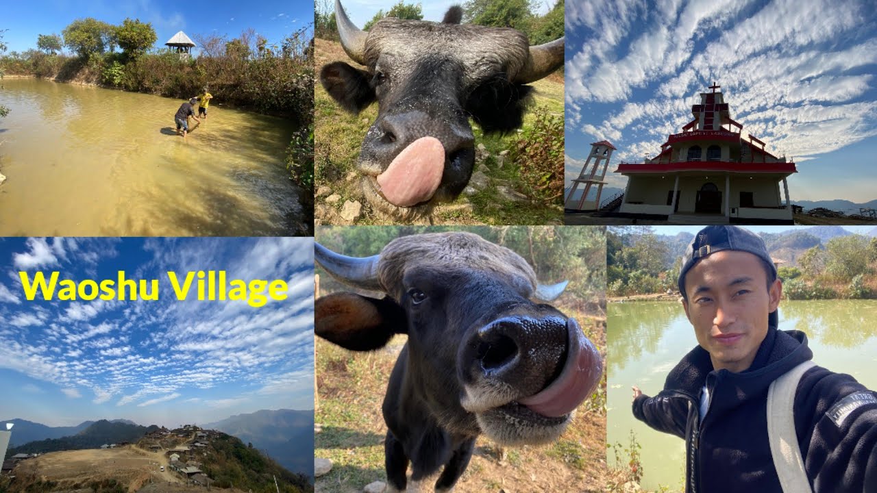 Visited Moba Place at Waoshu Village..#picnicspot #mithunproject #nagaland #northeastindia 