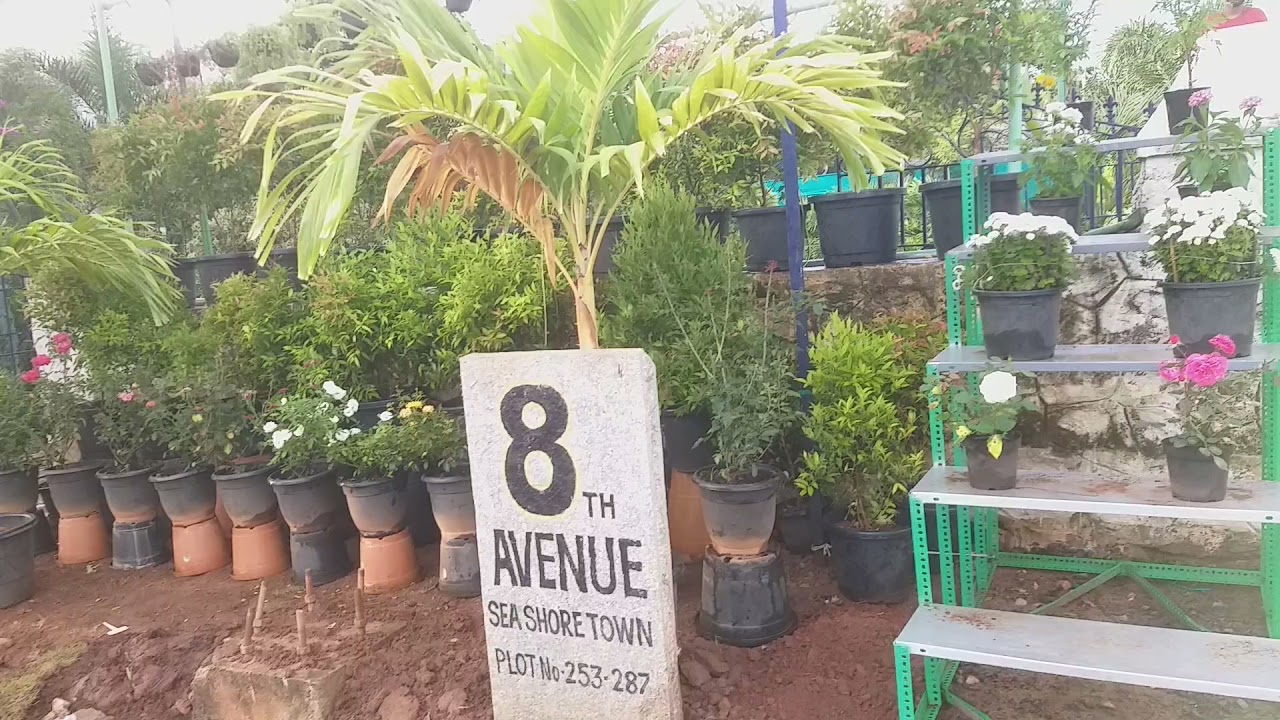different species Nursery garden plants in ECR Chennai YouTube