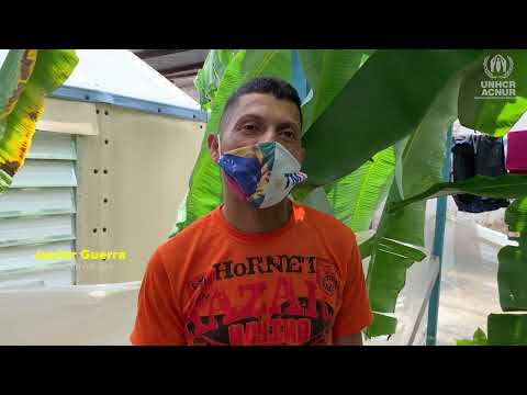 Environmental projects involve