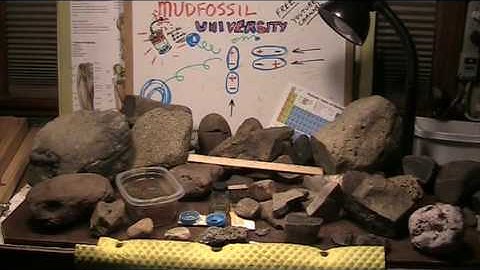 Mudfossil Methods and Techniques part 1