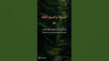 #تلاوة_خاشعة #اكسبلور #المصحف #لايك .