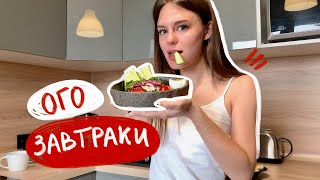 вкусные и быстрые ЗАВТРАКИ | МОИ ЛЮБИМЧИКИ