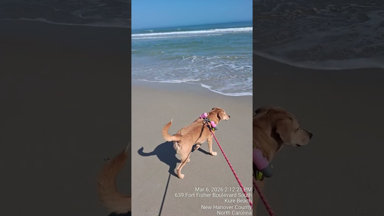 Kure BEACH vacation march 5-9 2026 🥰🥰🥰🥰😍 This is definitely a self care vacay Mom is my inspiration 