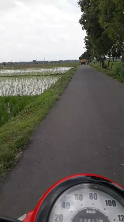 Story Wa Cak Nun.Sedulur papat Limo Pancer