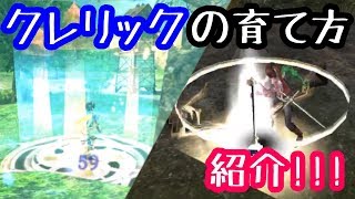 イザナギオンライン 最速 クレリックの育て方 Youtube イザナギオンライン 最速 クレリックの育て方 Youtube