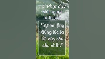 Sự im lặng đúng lúc là lời dạy...