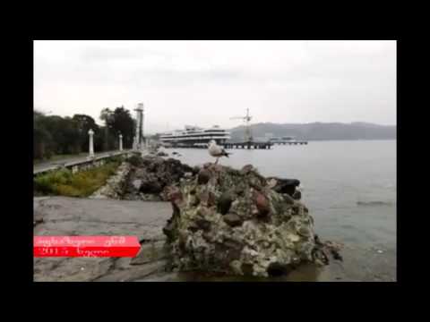 აფხაზეთი ჩვენი გულის ტკივილია