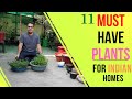 इन पौधों के बिना है आपका घर अधूरा ! 11 MUST HAVE PLANTS FOR INDIAN HOMES !