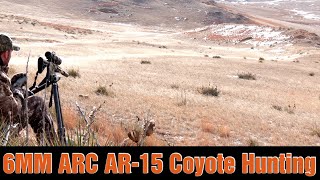 6Mm Arc Double Down Coyote Hunting Suppressed Ar-15 