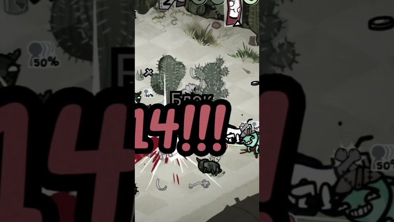 Котики не справились 