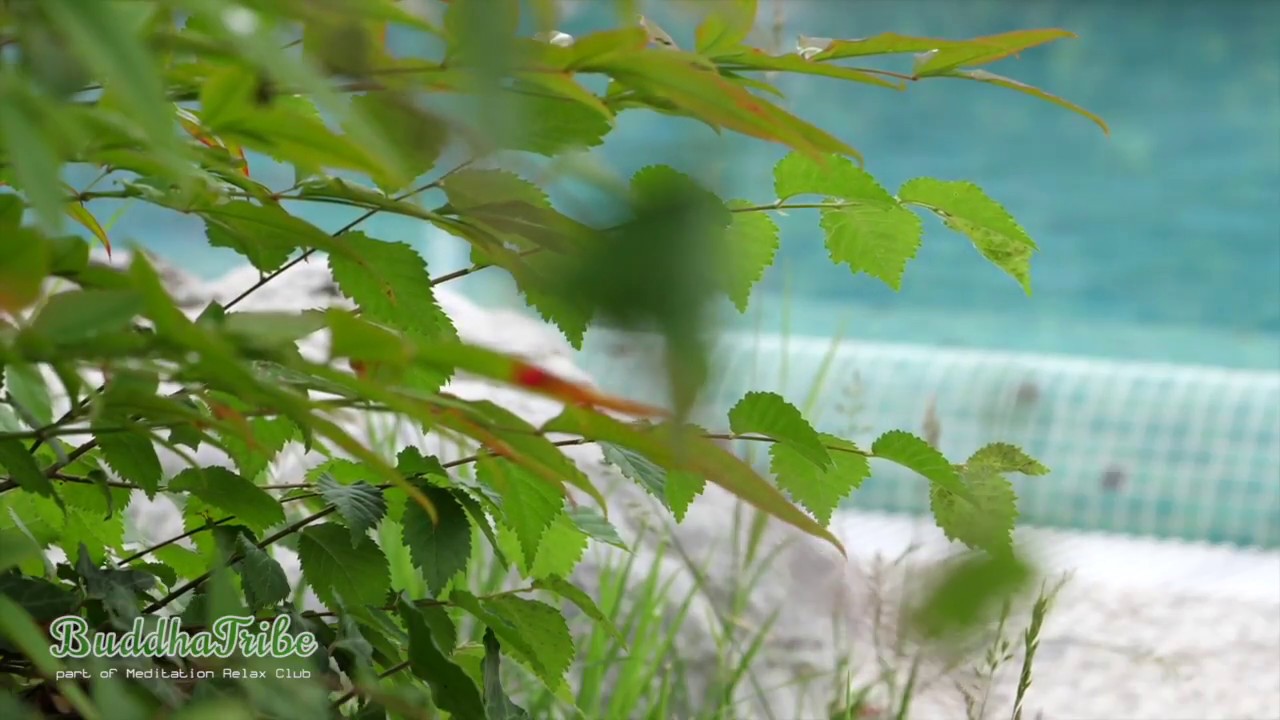 reflexão do dia Meditation Music for Positive Energy | Meditation, Concentration And Peace, Peaceful Melodies ☆ BT2