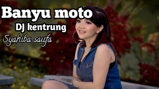 Syahiba Saufa - Banyu Moto (Lirik)