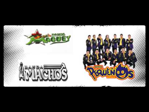 Romántico Incurable Video