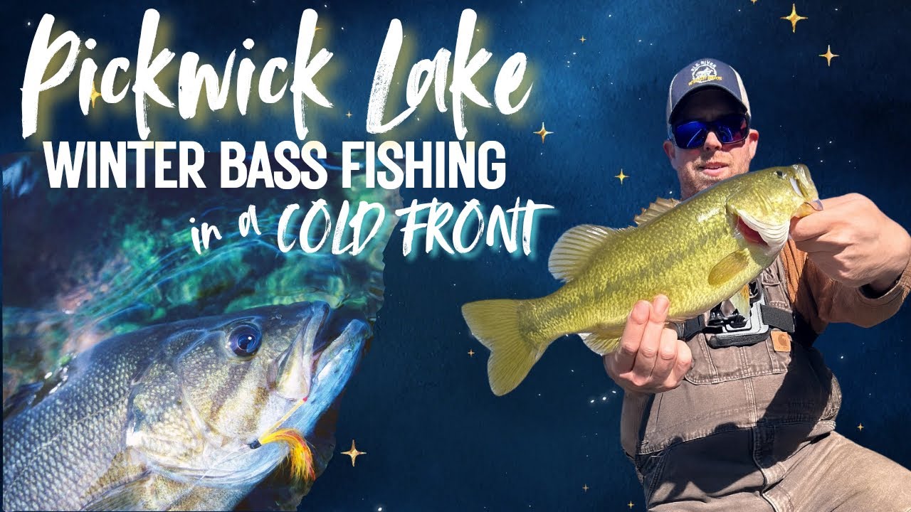 Early Winter Bass Fishing on Pickwick Lake | Cold Front Jerkbait Pattern & Creek Mouth Bass!