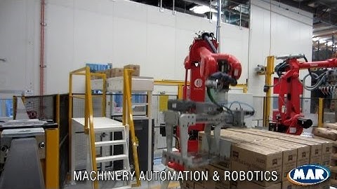 Robotic Bag & Carton Palletising Solution