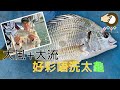 #300 大風加上大流日，好彩執返身彩  | 香港釣魚 | 艇釣 | 青衣 {粵語旁白}