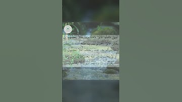 سورة البقرة .الشيخ محمد الفقيه #اكسبلور #forupage #quran #love #تيك_توك #duet #peace #دويتو